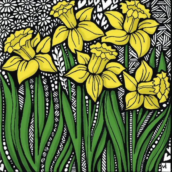 BAB152 Daffodil Cluster Blank