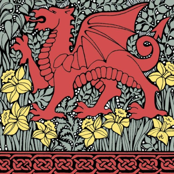 BAB127 Daffodil Dragon Blank