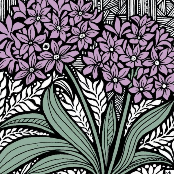 BAB132 Purple Allium Blank