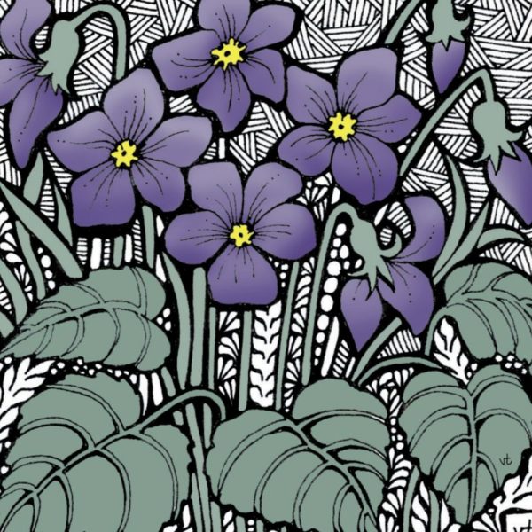 BAB145 Violets Blank