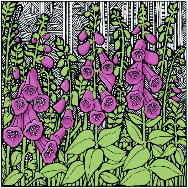 BAB172 Foxgloves Blank