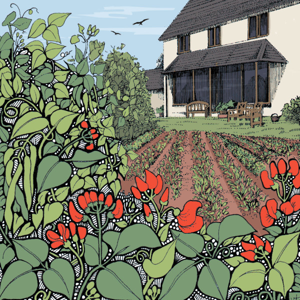 BAB173 Vegetable Patch Blank
