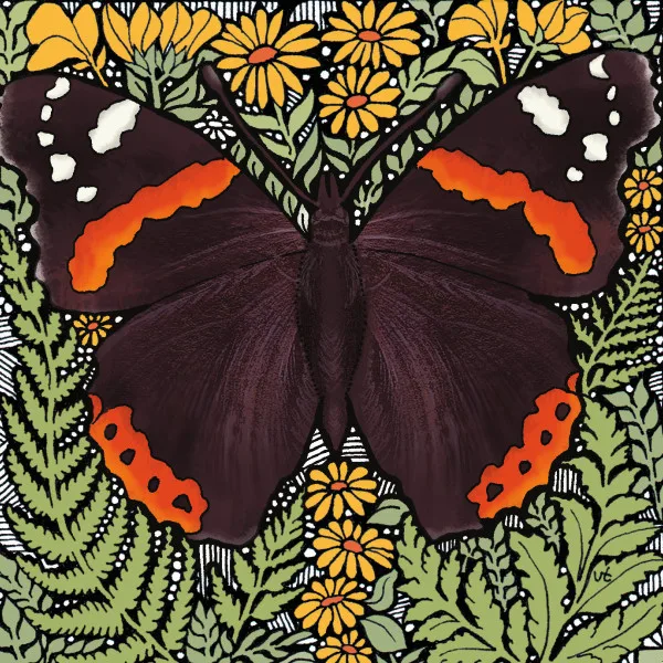 BAB175 Red Admiral Butterfly Blank