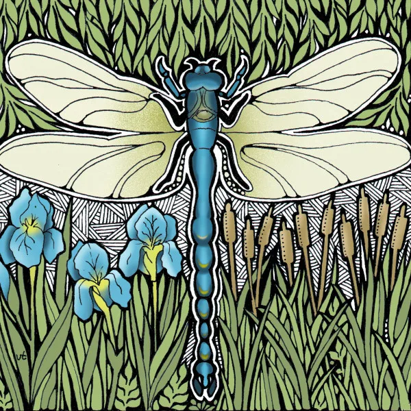 BAB176 Dragonfly Blank