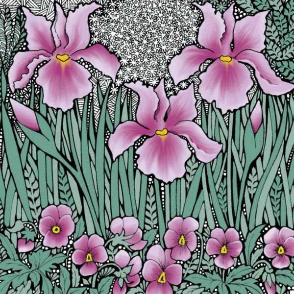 BAB187 Pink Irises Blank