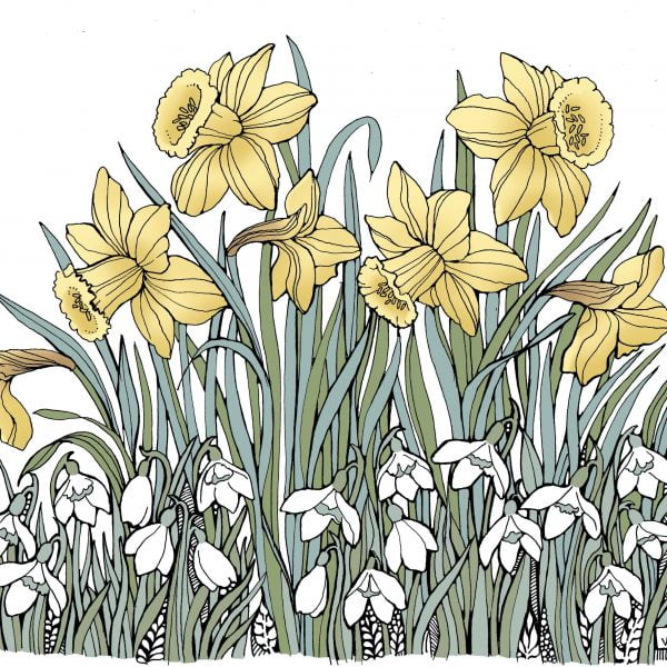 BAB202 Daffodils & Snowdrops Blank