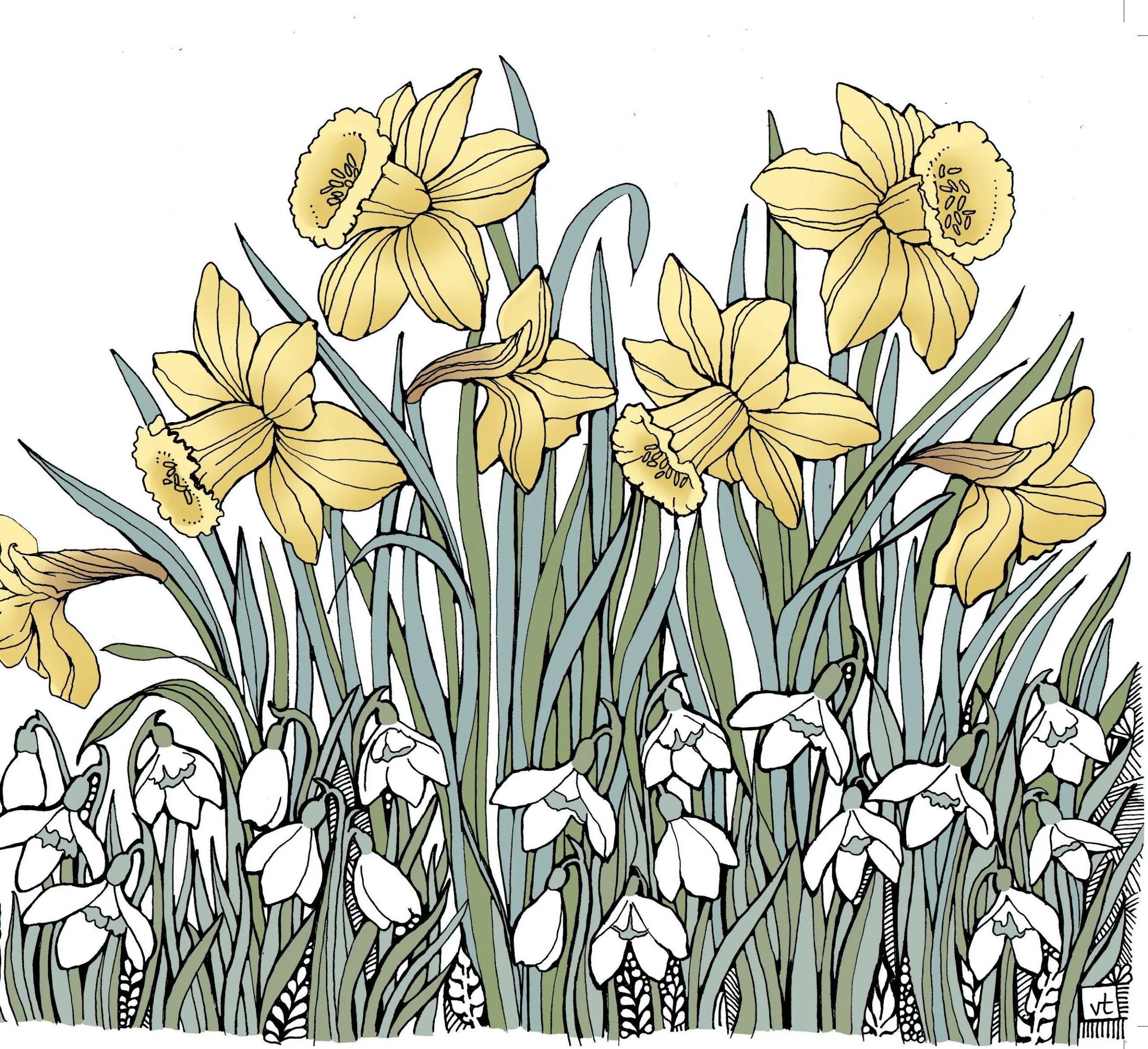 BAB202 Daffodils & Snowdrops Blank