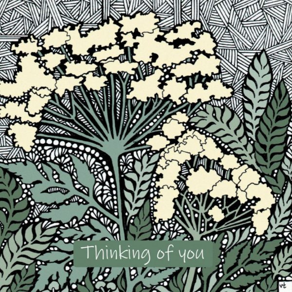 OAB226 Thinking of You Cow Parsley