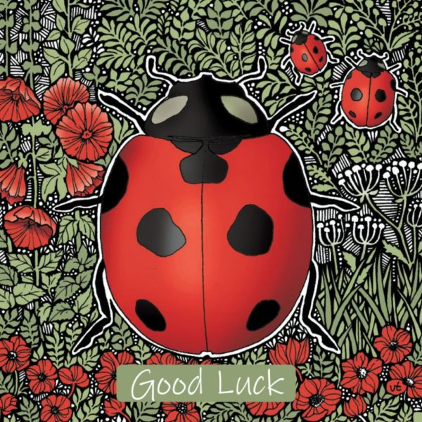 OAB235 Good Luck Ladybird