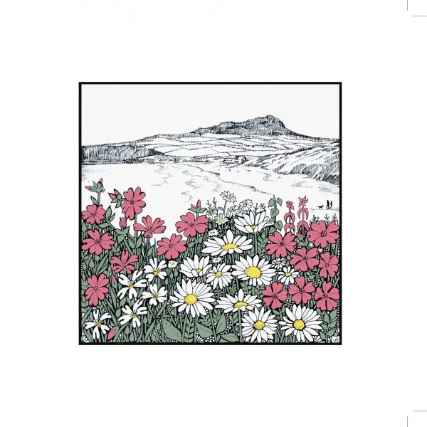 Milltir Sgwâr ~ Square Mile - Carn Llidi ~WOAB746