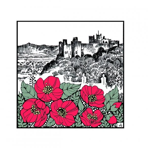 Milltir Sgwâr ~ Square Mile ~ Harlech Castle Wild Roses ~ WOAB755
