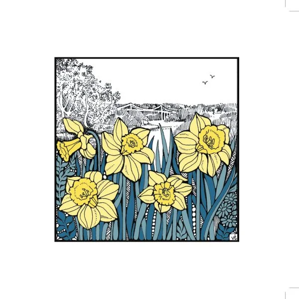 Milltir Sgwâr ~ Square Mile - Menai Bridge Daffodils ~WOAB763