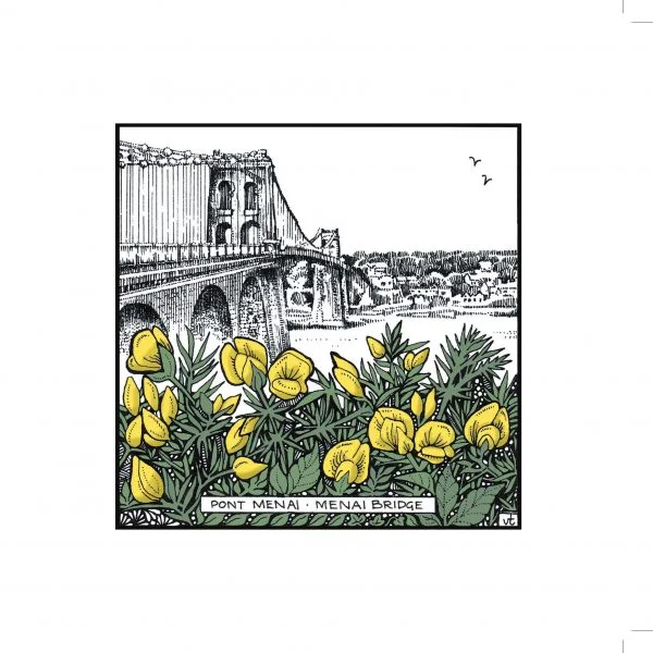 Milltir Sgwâr ~ Square Mile - Menai Bridge Gorse ~ WOAB764