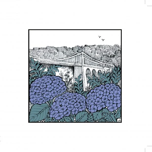 Milltir Sgwâr ~ Square Mile - Menai Bridge Hydrangeas ~ WOAB765