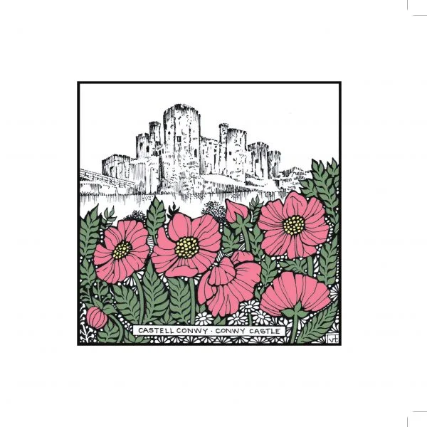 Milltir Sgwâr ~ Square Mile ~ Conwy Castle Cerise Cosmos ~ WOAB770