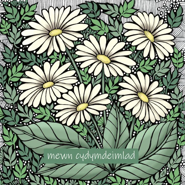 WOAB628 Mewn Cydymdeimlad Cream Daisy (in sympathy)