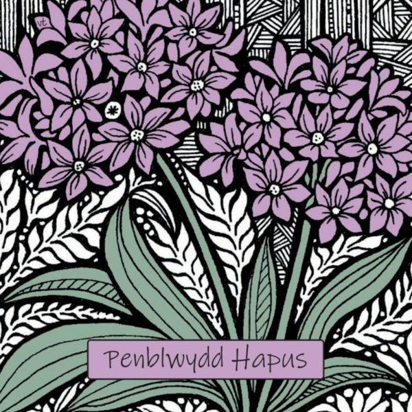 WOAB675 Penblwydd Hapus Lilac Allium