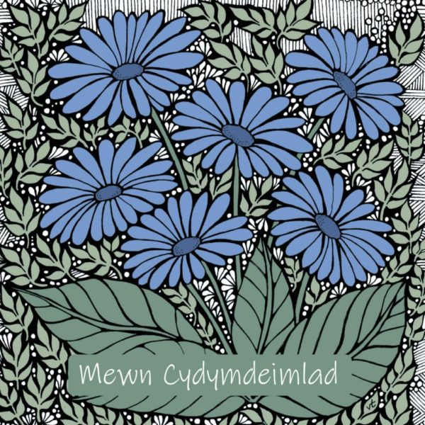 WOAB682 Mewn Cydymdeimlad Blue Daisies (in sympathy)