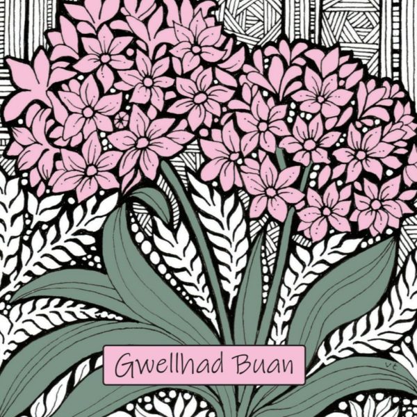WOAB694 Gwellhad Buan Allium (get well/speedy recovery)