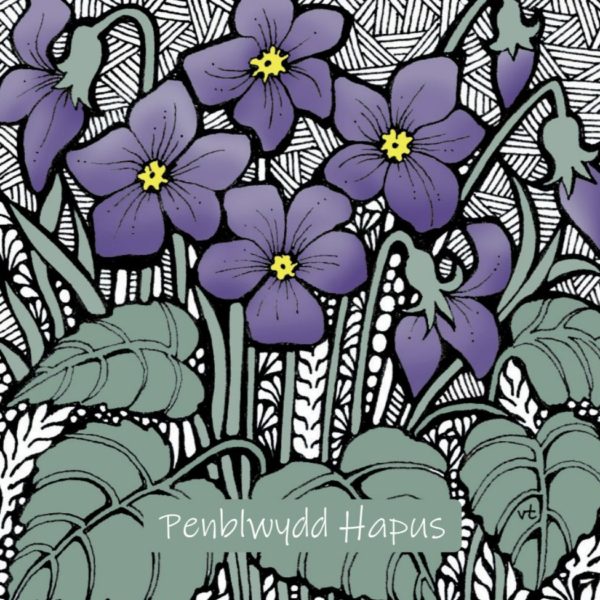 WOAB700 Penblwydd Hapus Violets