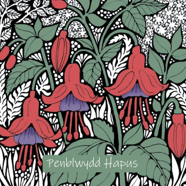 WOAB702 Penblwydd Hapus Pink Fuschias