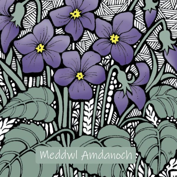WOAB709 Meddwl Amdanoch Violets (thinking of you)