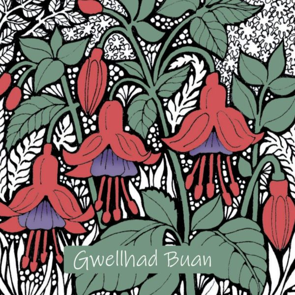 WOAB712 Gwellhad Buan Fucshia (get well/speedy recovery)