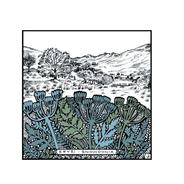 Milltir Sgwâr ~ Square Mile - Snowdonia Seed Heads ~ WOAB759