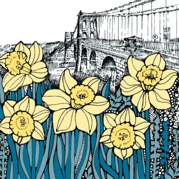 WOAB760 Menai Bridge Narcissi Milltir Sgwâr Square Mile