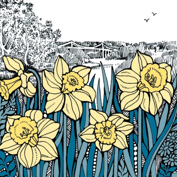 WOAB763 Menai Bridge Daffodils Milltir Sgwâr Square Mile
