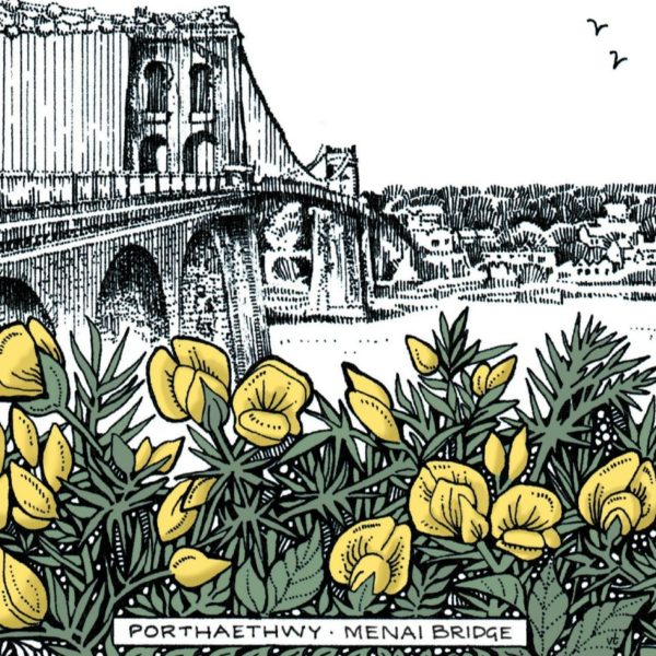 WOAB764 Menai Bridge Gorse Milltir Sgwâr Square Mile