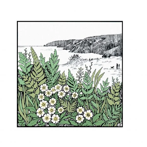 Milltir Sgwar ~ Square Mile ~ Pembrokeshire coast path ~ Wildflowers ~ WOAB779