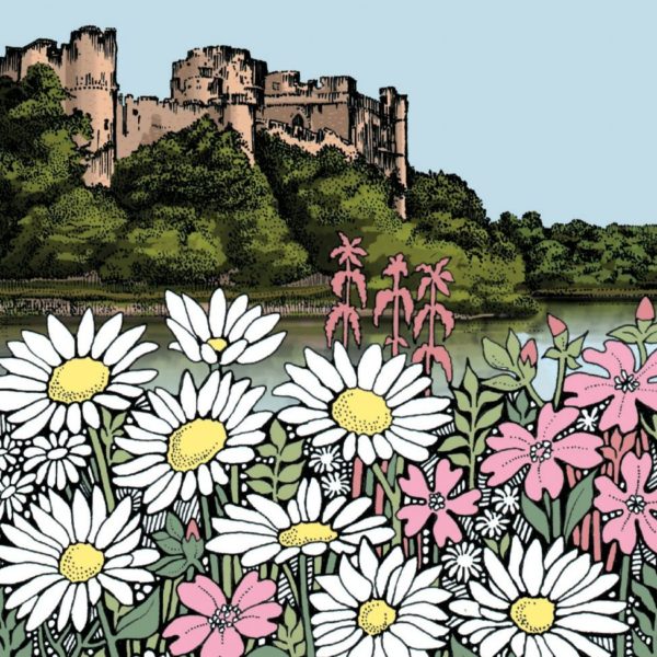 WOAB780 Pembroke Castle Daisies Milltir Sgwar Square Mile
