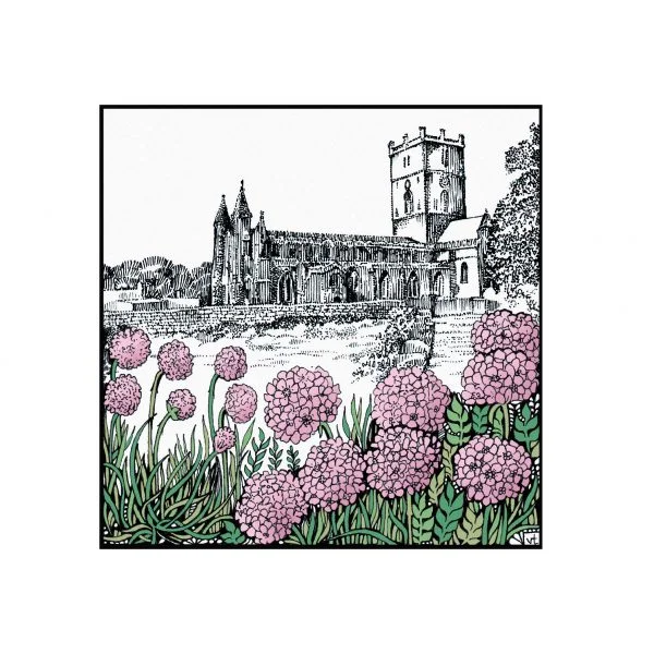 Milltir Sgwar ~ St David's Cathedral sea thrift~ WOAB800