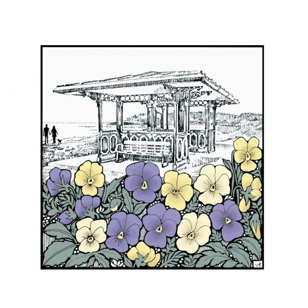 Milltir Sgwar ~ Cysgod Traeth ~ Beach shelter pansies ~ WOAB801