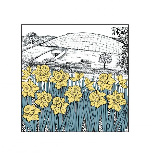 National Botanic Gardens ~ Daffodils ~ WOAB866