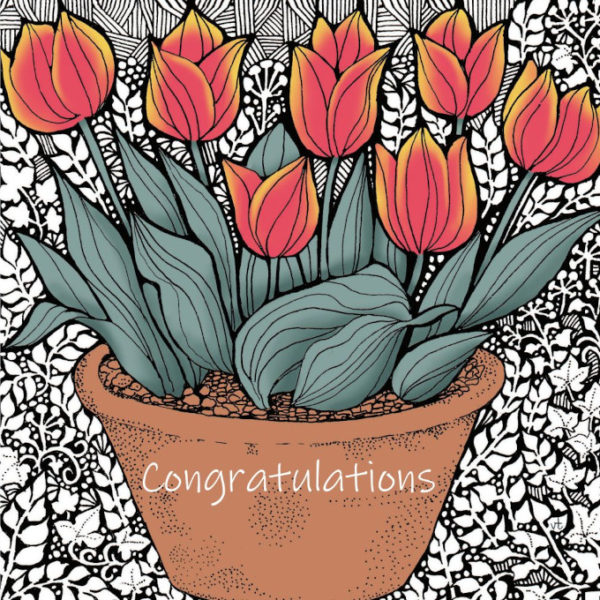 OAB291 Congratulations Red and Yellow Tulips