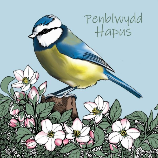 BAB243PH Blue Tit Penblwydd Hapus