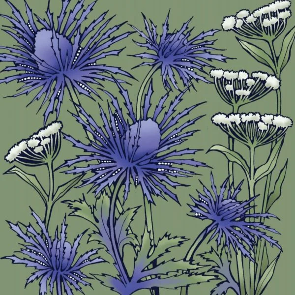 BAB254 Purple Spikey Thistles Blank