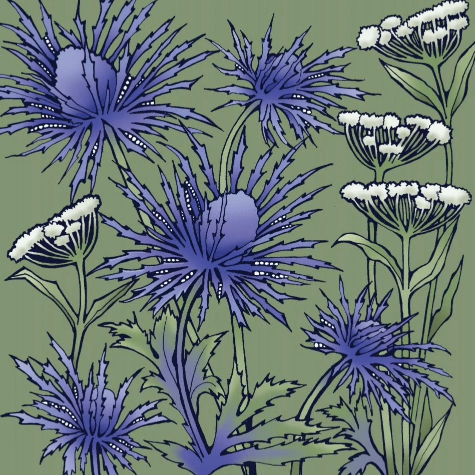 BAB254 Purple Spikey Thistles Blank
