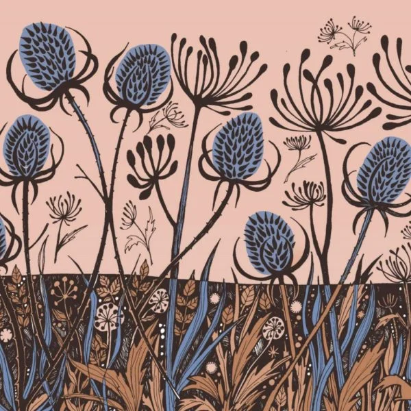 BAB253 Peach Teasels Blank