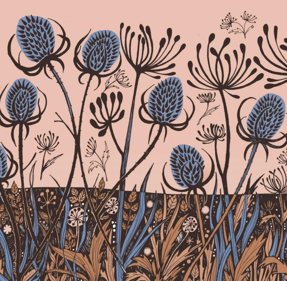 BAB253 Peach Teasels Blank