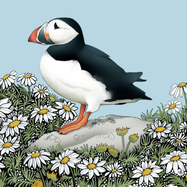 BAB256 Puffin Blank
