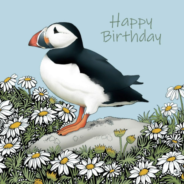 BAB256HB Puffin Happy Birthday