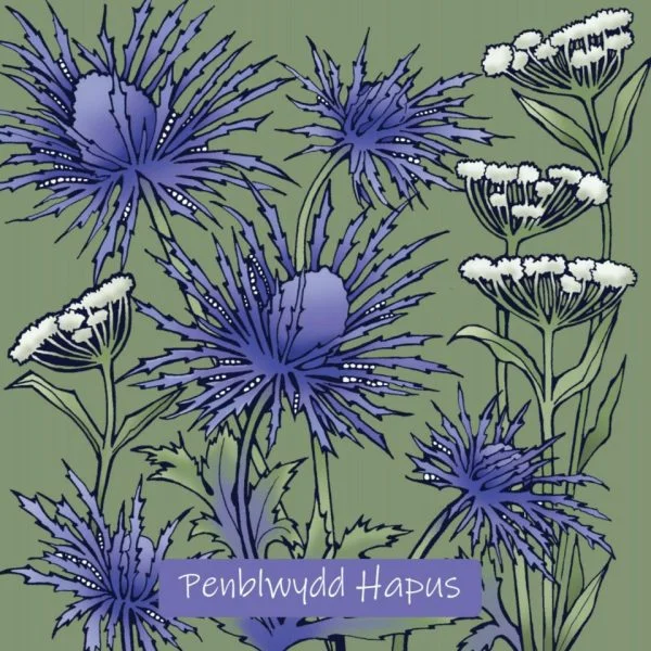 BAB254PH Purple Spikey Thistle Penblwydd Hapus