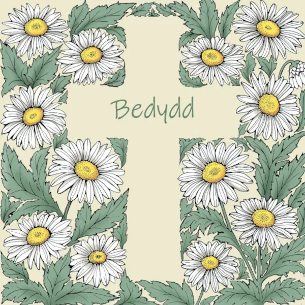 WOAB911 Bedydd Daisy Cross (christening)
