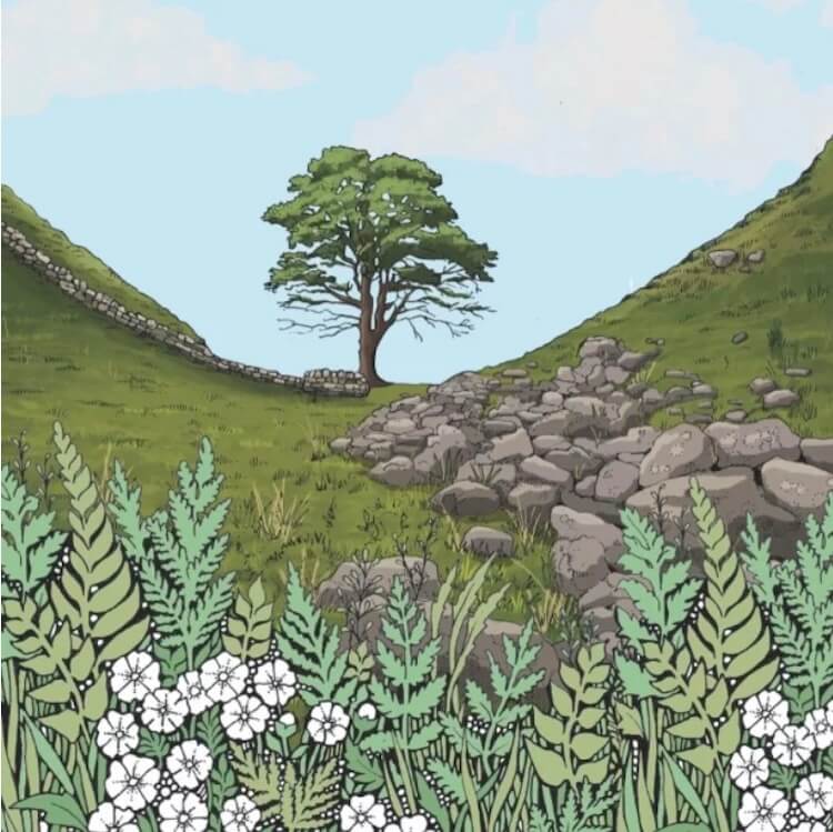 alffabet greetings cards wholesale sycamore gap greeting card