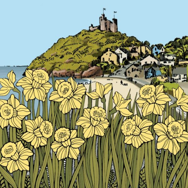 WOAB771V2 Criccieth Castle Daffodils Milltir Sgwar Square Mile